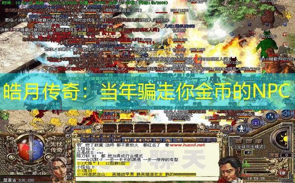 皓月传奇：当年骗走你金币的NPC