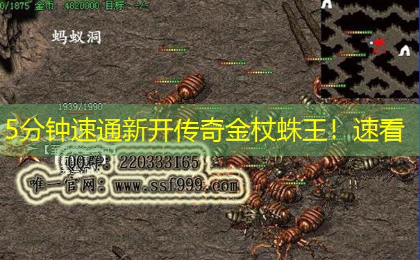 5分钟速通新开传奇金杖蛛王！速看