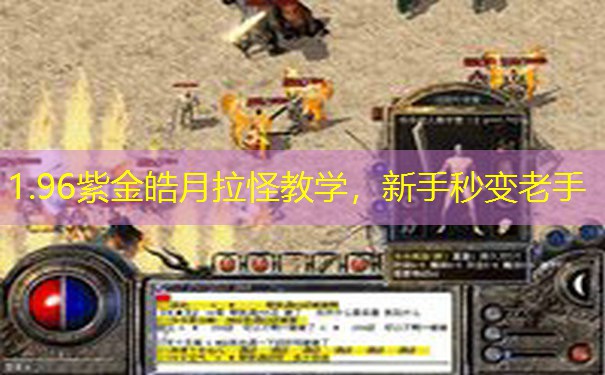 1.96紫金皓月拉怪教学，新手秒变老手