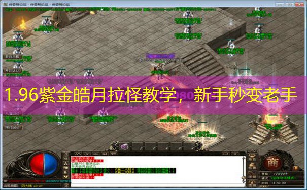 1.96紫金皓月拉怪教学，新手秒变老手