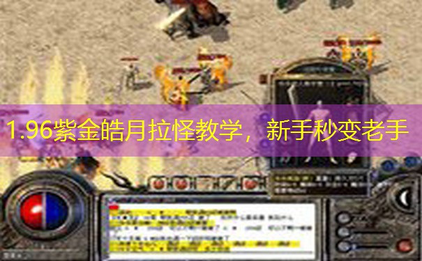 1.96紫金皓月拉怪教学，新手秒变老手