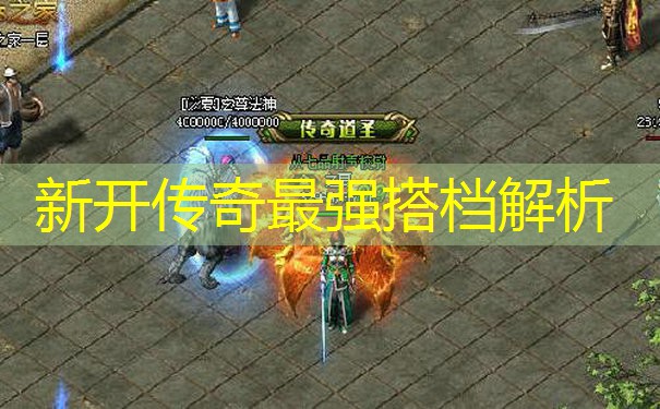 新开传奇最强搭档解析