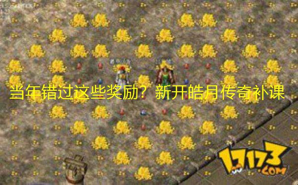 当年错过这些奖励？新开皓月传奇补课