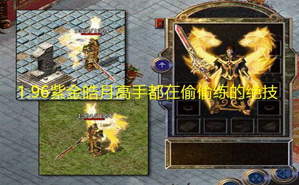 1.96紫金皓月高手都在偷偷练的绝技