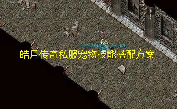 皓月传奇私服宠物技能搭配方案 皓月传奇私服宠物技能搭配方案
