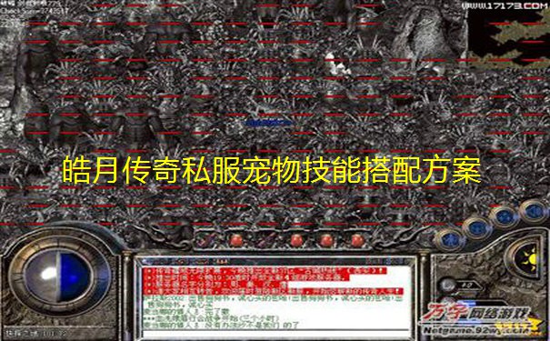 皓月传奇私服宠物技能搭配方案 皓月传奇私服宠物技能搭配方案